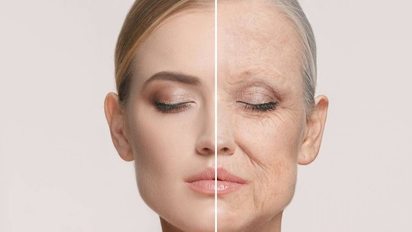 Tổng Quan Về Collagen: Các Kiến Thức Mà Bạn Nên Biết