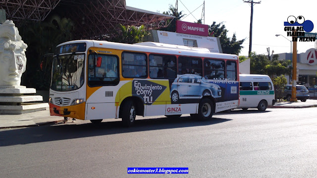 Conejo en Tuxtla Gutierrez