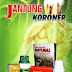 JANTUNG KORONER