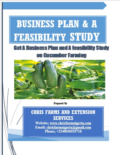 Cucumber Business Plans and Feasibility Study For Nigerian Startup 