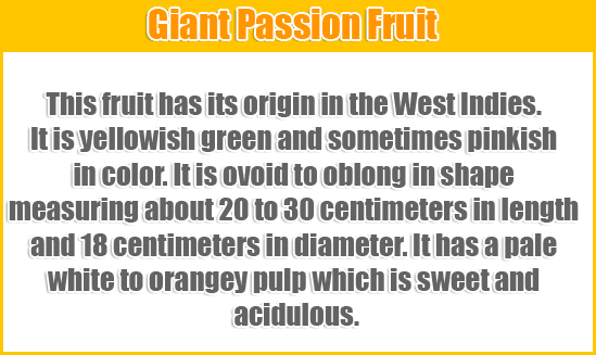 Giant-Passion-Fruit