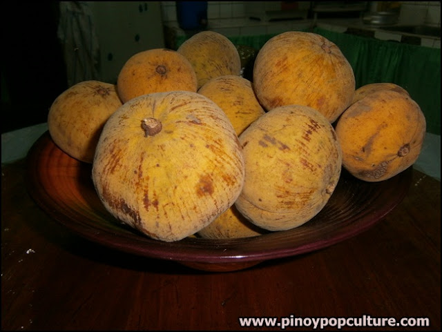 santol, sour apple, cotton fruit, lolly fruit, Sandoricum koetjape