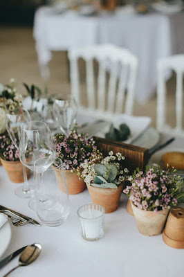 Wedding centrepiece - plants that double as favours