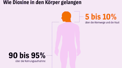 Wie Dioxin in Körper gelangt