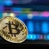 A Guide to Understanding the Crypto Phenomenon in 2024