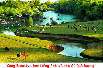 Cùng Benative học tiếng Anh về chủ đề Quê hương