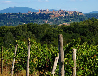 View of Orvieto in the distance  from the surrounding vineyards
