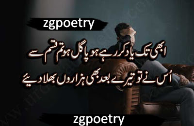 www.zgpoetry.blogspot.com