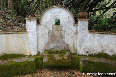 El Mont des de Beuda