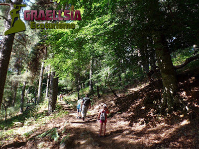 Campamento de verano en la Naturaleza