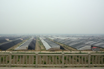 Greenhouses in rural China