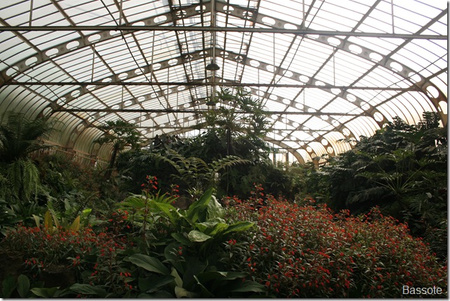 Jd Botanico SP 056