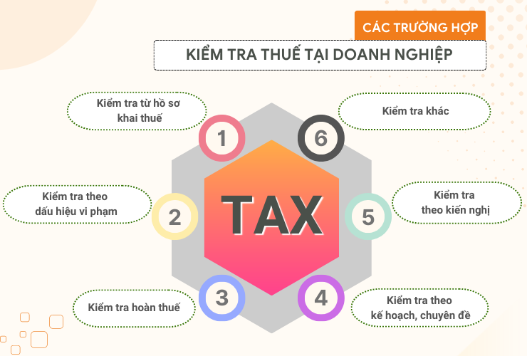 Hình 1: Các trường hợp kiểm tra thuế tại doanh nghiệp