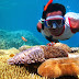 Paket Family / Private Karimunjawa Ku