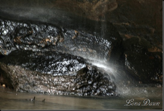 CH_FallsBasin_Spring