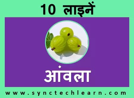 short nibandh on amla in hindi for class 1