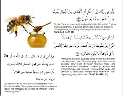 Madu dalam Quran dan Hadits, credit by Ahlinya Lambung