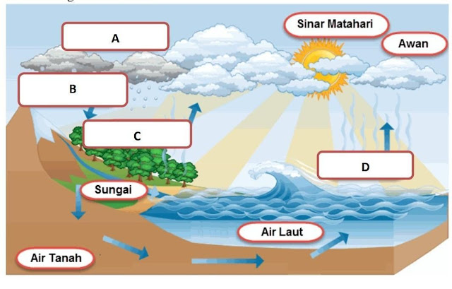 gambarkan siklus hidrologi