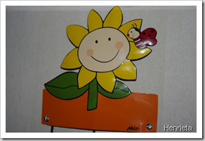 Bilder Januar 241