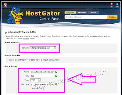 cPanel Hosting TXT Record Creation