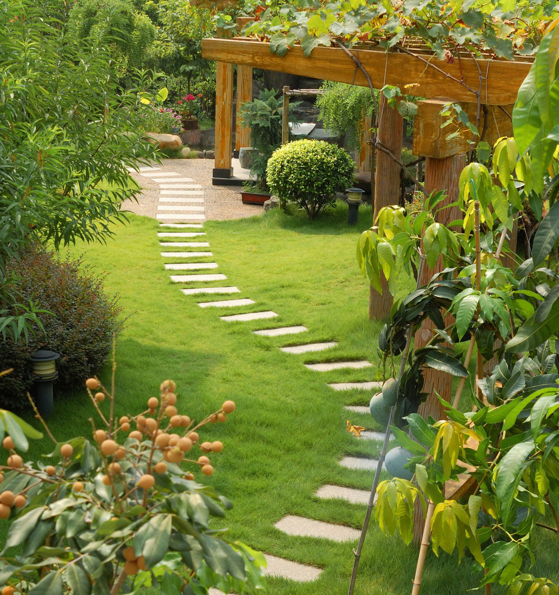 Amazing Landscaping Ideas