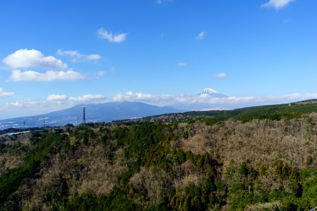 三島スカイウォークからの景色