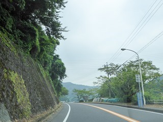 313P1010457-313