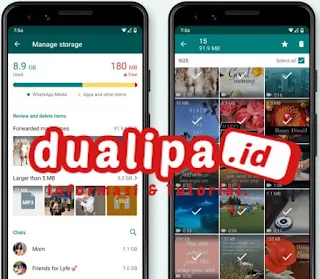 Fitur baru WhatsApp mempermudah pembersihan file penyimpanan