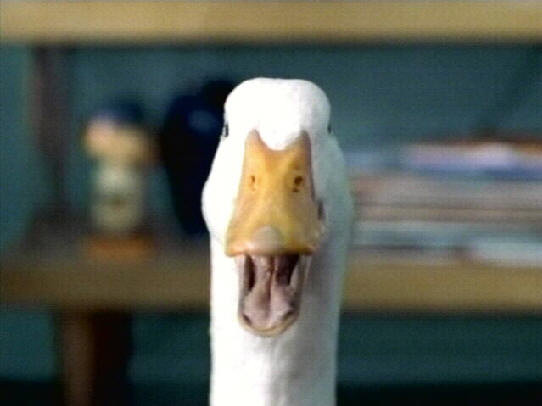 voice for the Aflac duck.