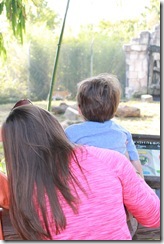 campingzoo 053