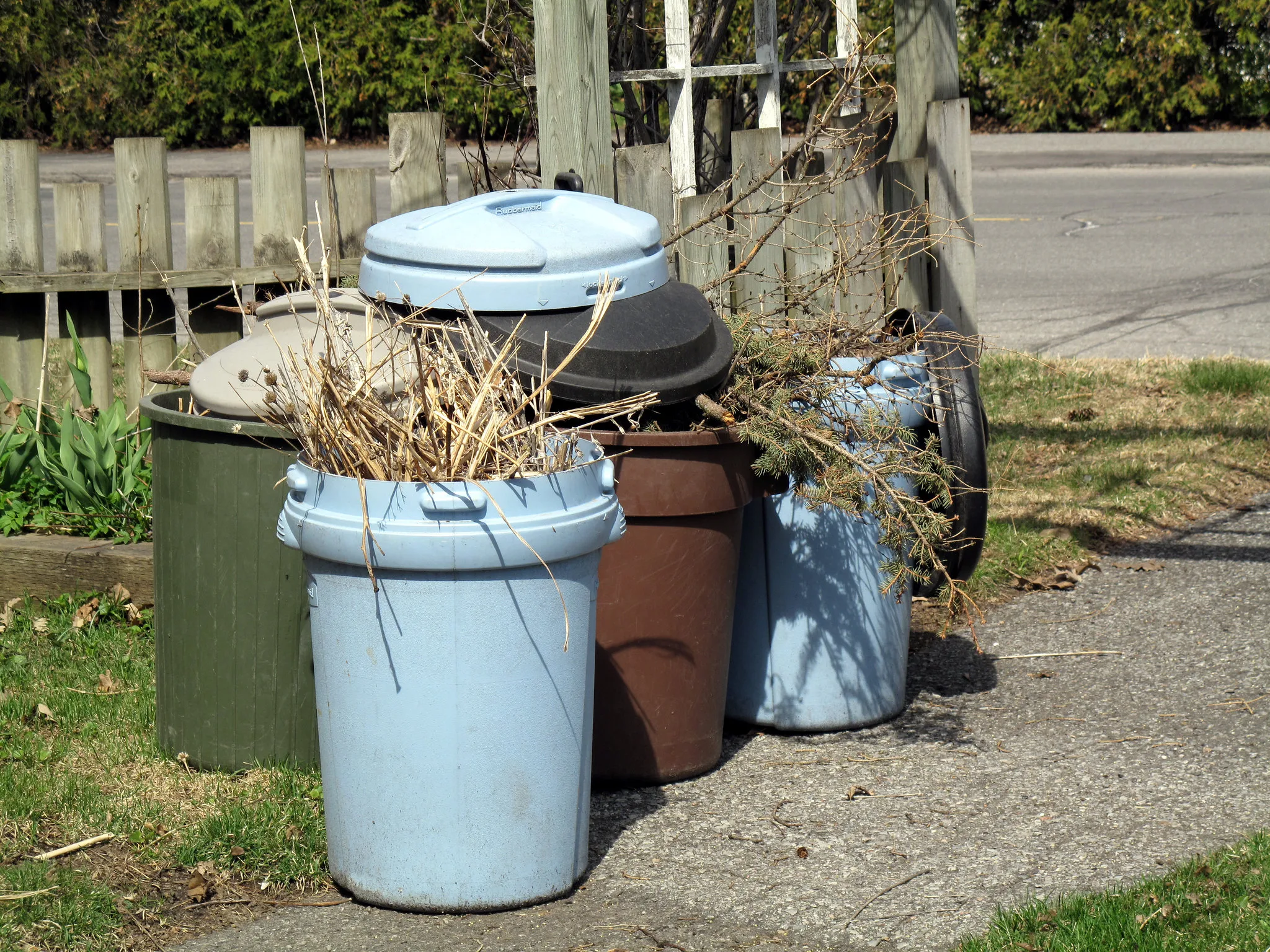 Yard Waste Removal in Sayward BC
