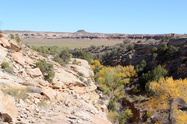 fall color and some of Butler Wash