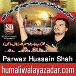 http://www.humaliwalayazadar.com/2017/10/syed-parwaz-hussain-shah-nohay-2018.html