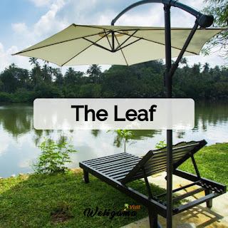 The Leaf | Budget Hotels in Weligama, Sri Lanka