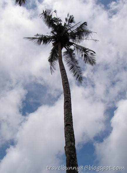 P9070424