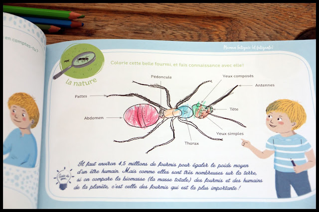 cahier decouverte montessori gründ