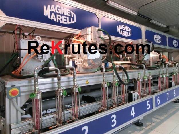 Marelli recrute plusieurs profils