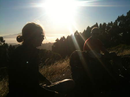 Spectacular Skyline Trail in Tilden Woods