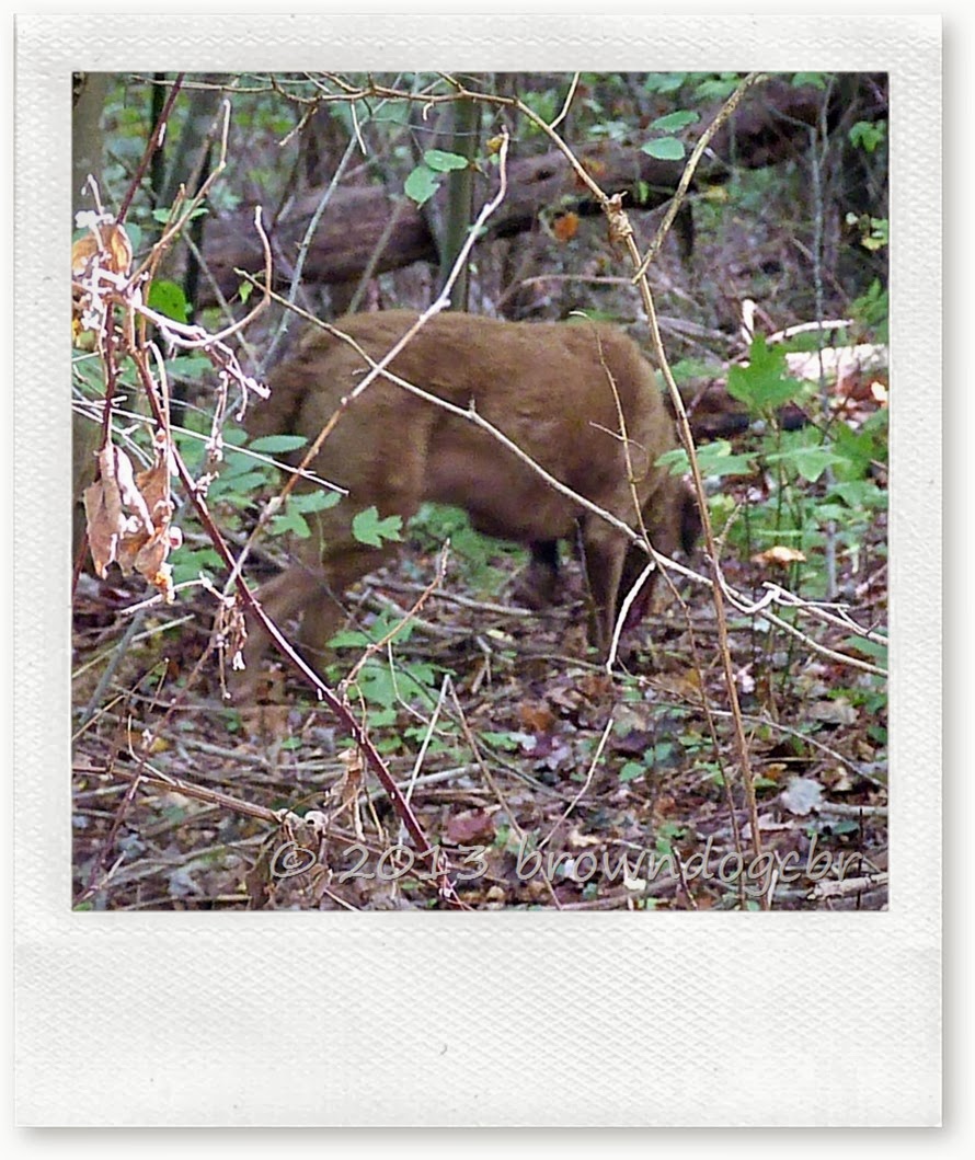P1280202