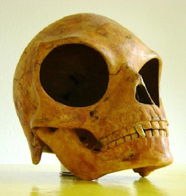 Sealand Skull, most important artifact that proves aliens exist.