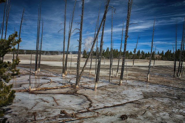 Yellowstone National Park Wyoming Idaho Montana geology travel field trip bison buffalo elk river old faithful geyser copyright RocDocTravel.com