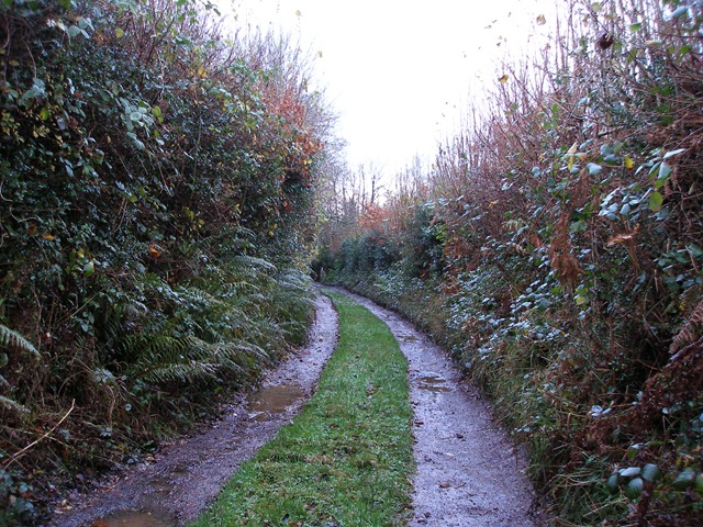 29th_november_2009