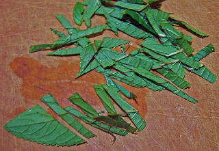 Mint Leaves Julienned on Cutting Board