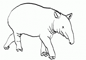 Brazilian Tapir Coloring Pages