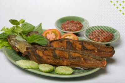 ikan lele, pecel lele, lele goremg