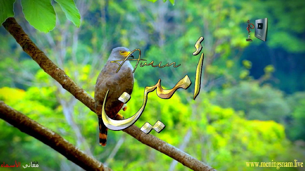 معنى اسم, امين, وصفات, حامل, هذا الاسم, Amin, ameen, amine,