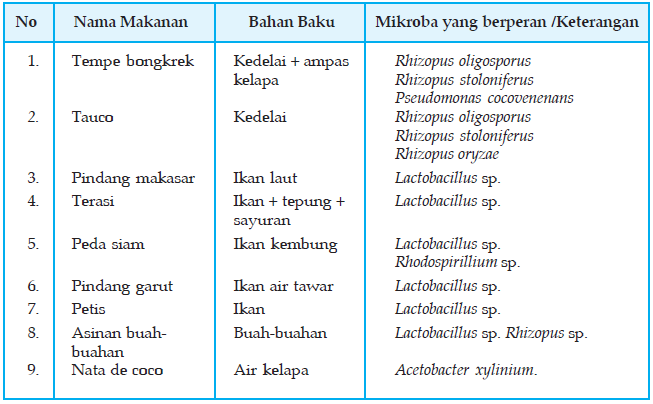 Bioteknologi Dengan Menggunakan Mikroorganisme  Plengdut.com