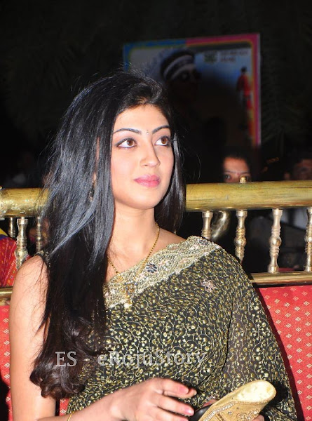 Pranitha cute Stills in saree @ Audio Launch big boobs show