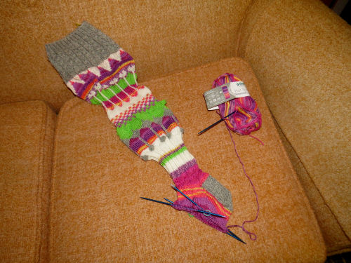 knit socks