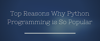 Top Reasons Why Python Programming is So Popular